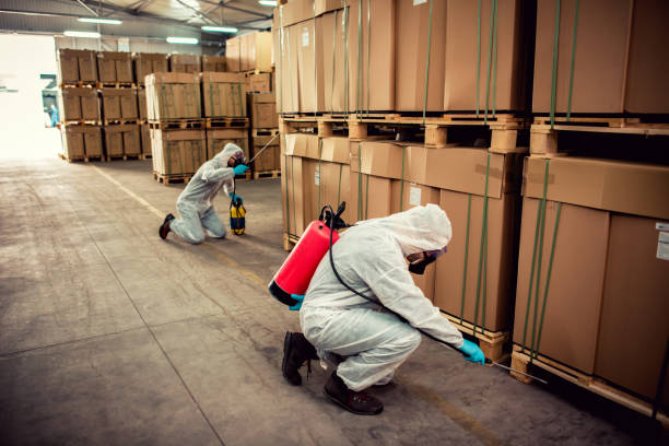 Pest Prevention Services in Mount Vernon, NY