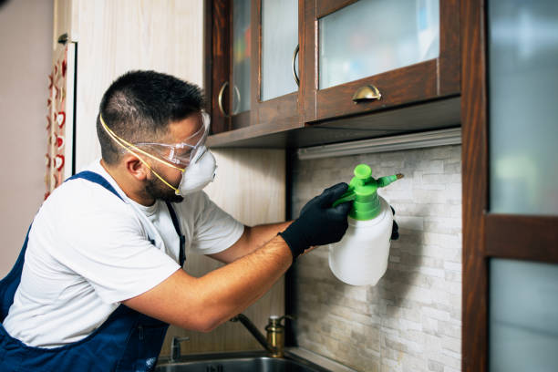 Best Pest Control Near Me in Mount Vernon, NY