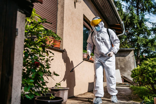 Best Affordable Pest Control Services  in Mount Vernon, NY