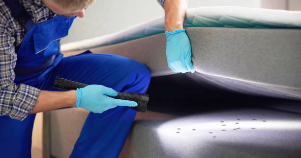 Best Best Pest Control Companies  in Mount Vernon, NY