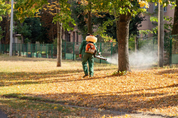 Best Pest Inspection Near Me  in Mount Vernon, NY