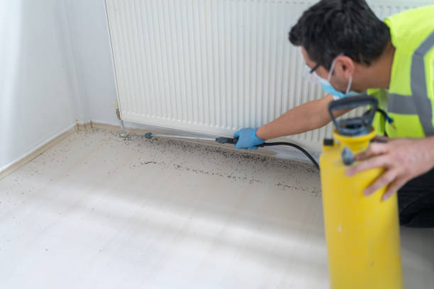Best Commercial Pest Control Services  in Mount Vernon, NY
